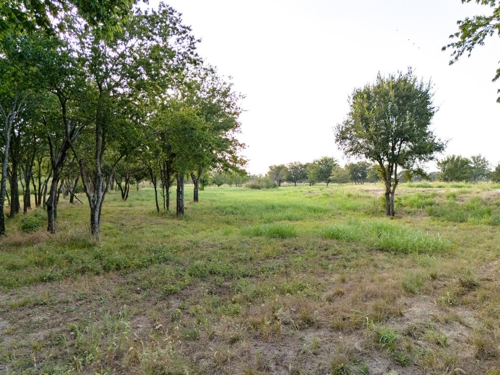24+/- Ac. Tbd Hwy 6 Property Photo 32