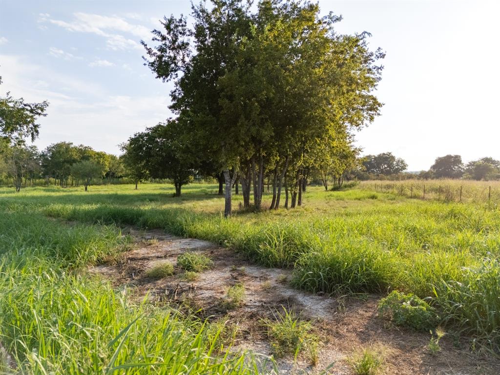 24+/- Ac. Tbd Hwy 6 Property Photo 33
