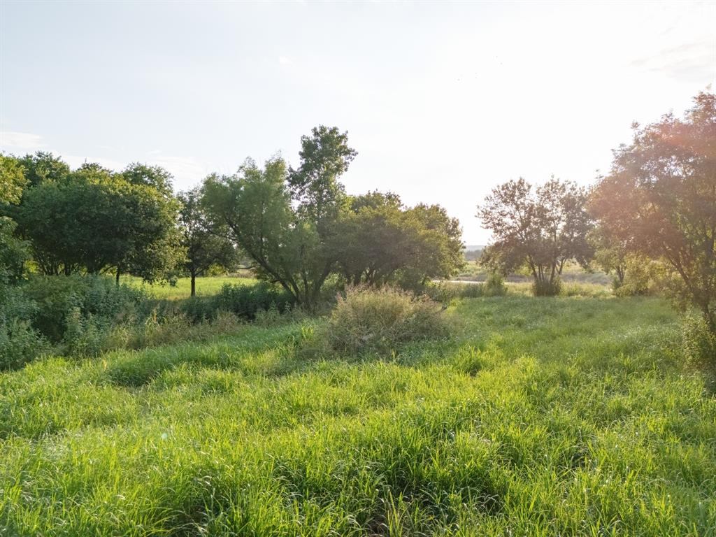 24+/- Ac. Tbd Hwy 6 Property Photo 35