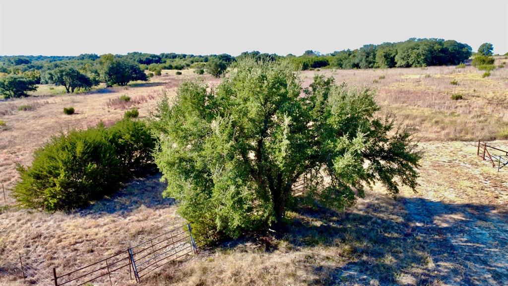 5254 Honey Creek Pass Property Photo 32