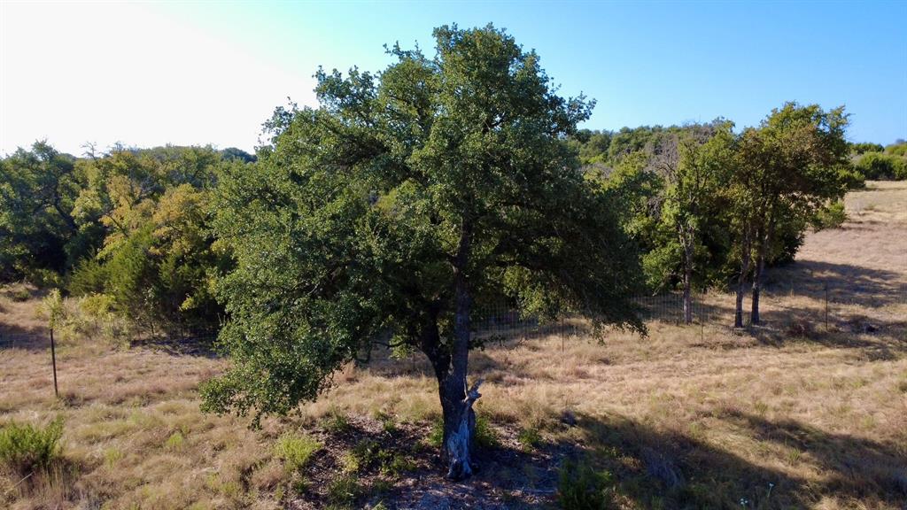 5254 Honey Creek Pass Property Photo 34