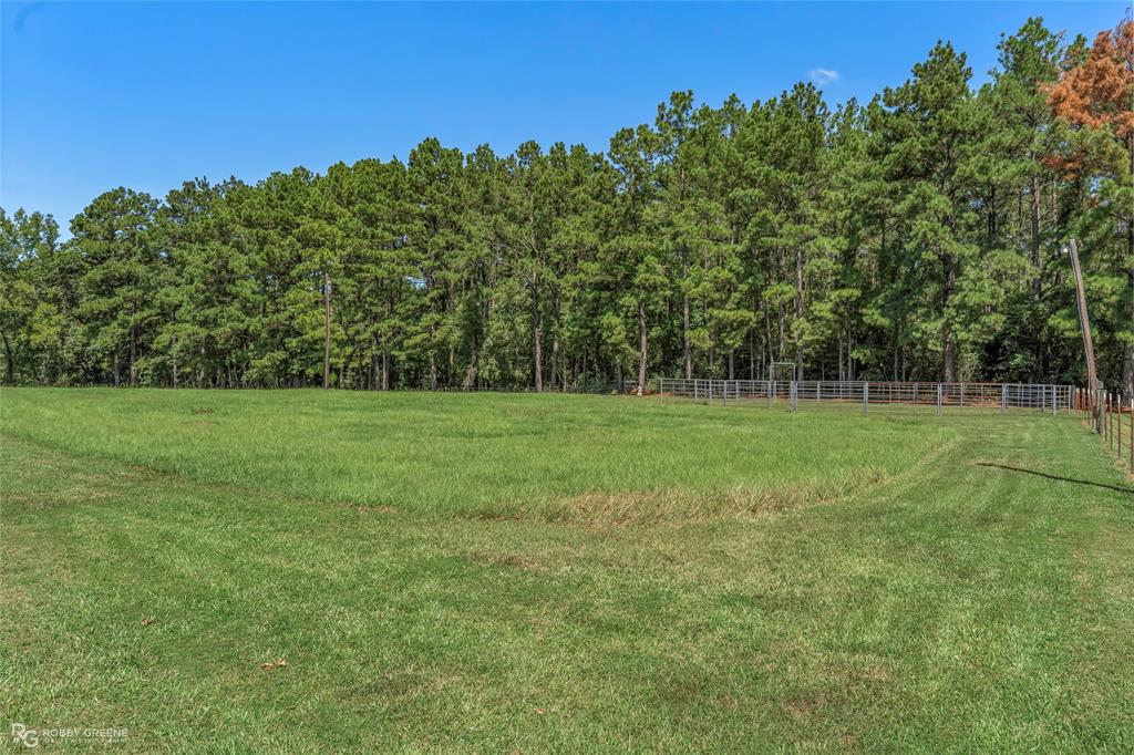 6488 Highway 4 Property Photo 16