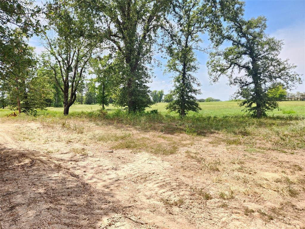 Lot 24 Cr 3249 Property Photo 1