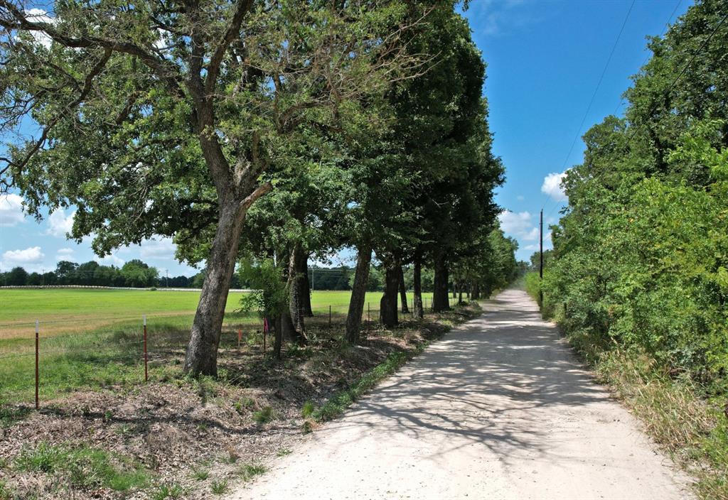 Lot 8 Vz County Road 3222 Property Photo 3