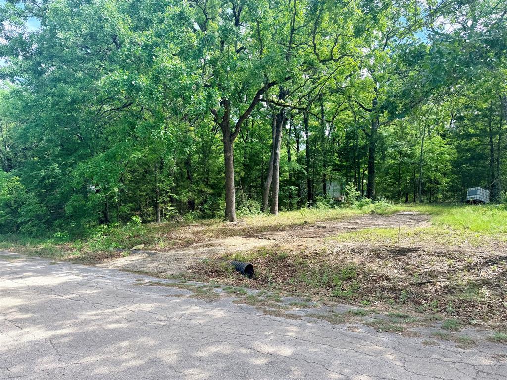 7137 Cayuga Drive Property Photo 12