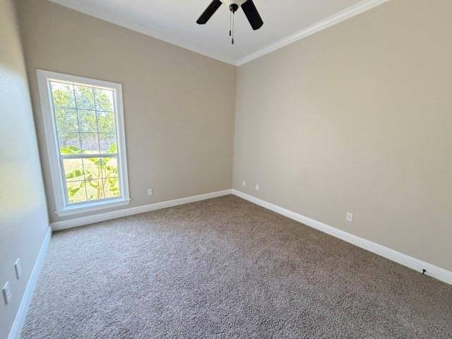 8421 Justin Avenue Property Photo 17