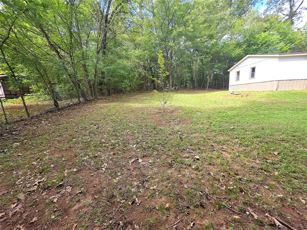 942 Balmorea Drive Property Photo 33