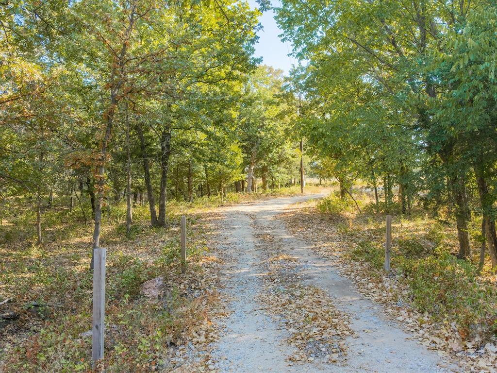 7832 Us Highway 287 Property Photo 2