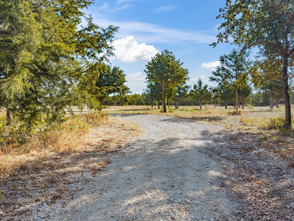 7832 Us Highway 287 Property Photo 3