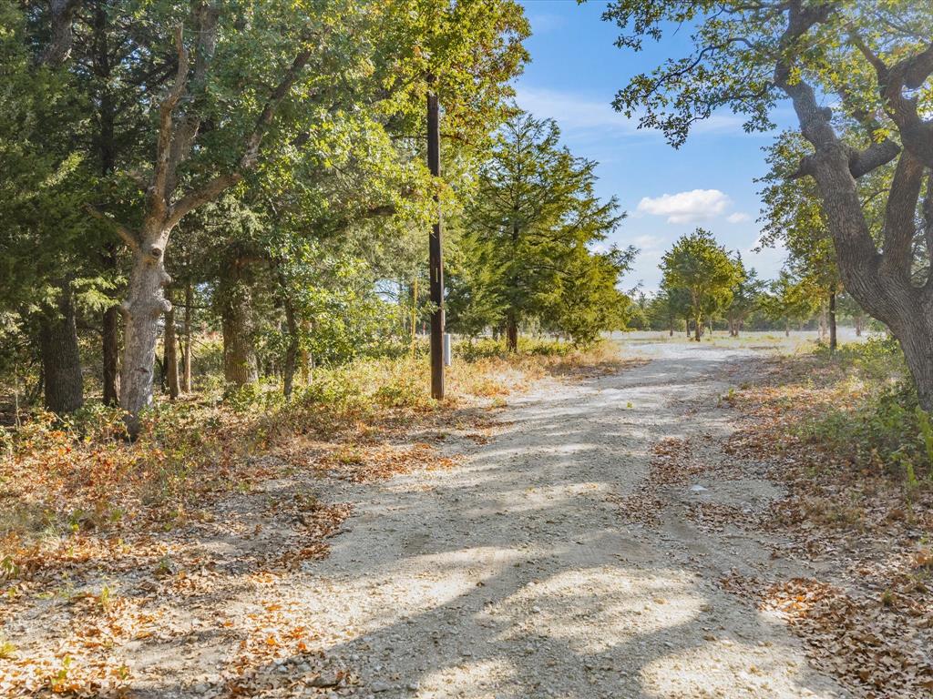 7832 Us Highway 287 Property Photo 4