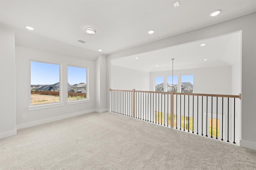 17217 Musial Court Property Photo 18