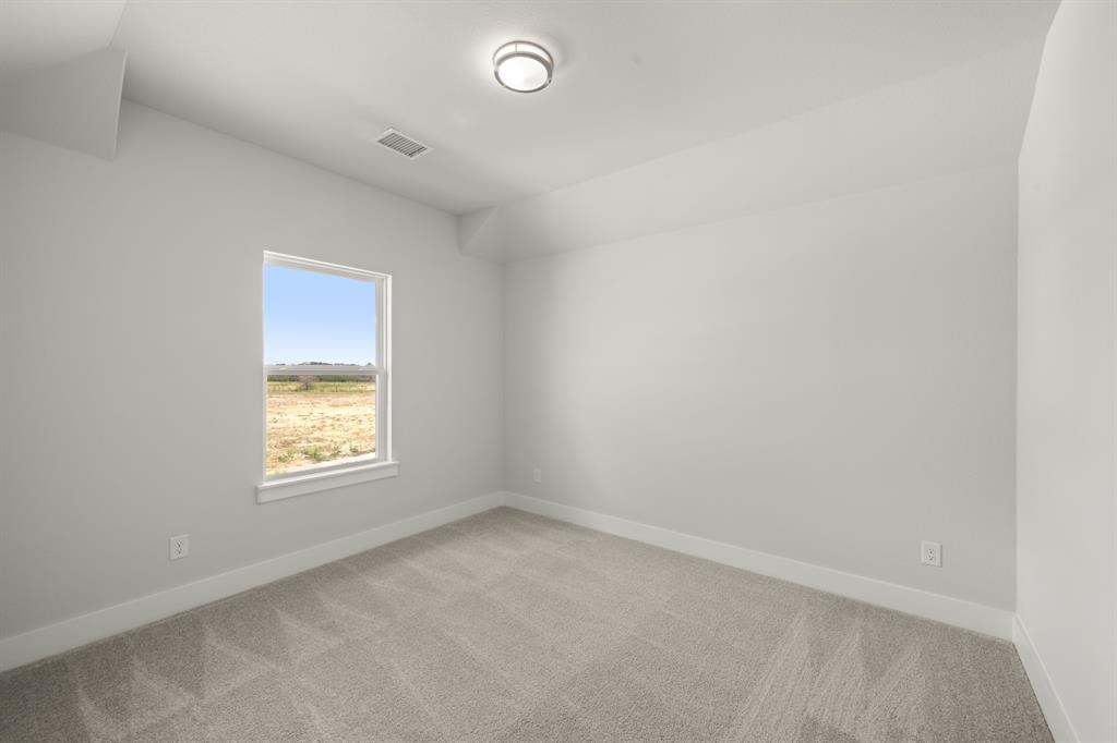 17217 Musial Court Property Photo 26