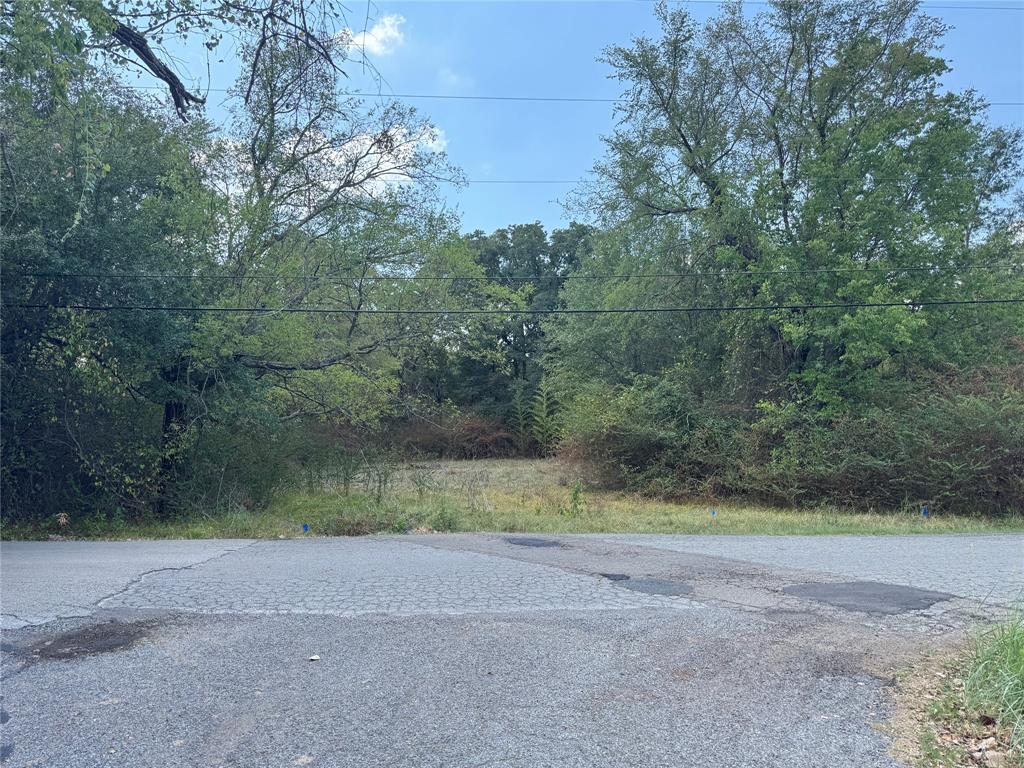 0 Commadore Drive Property Photo 2