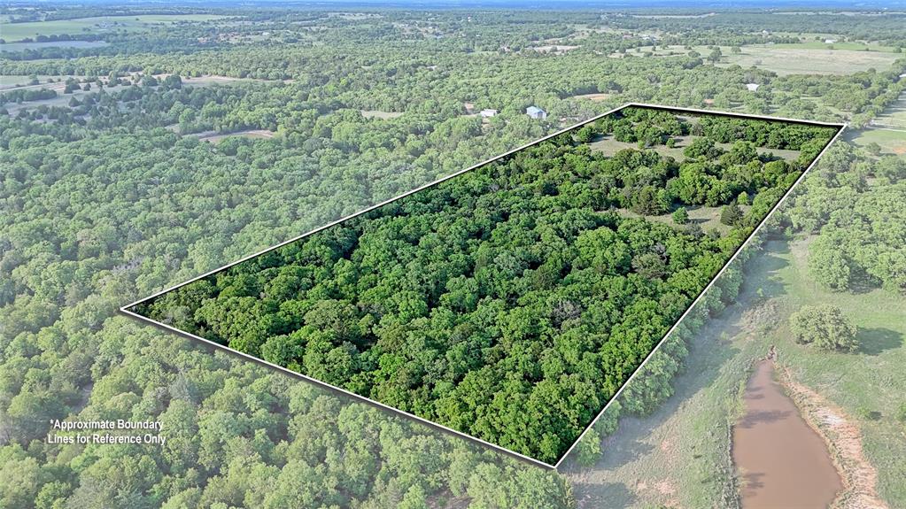 3952 Lake Valley Rd Property Photo 5