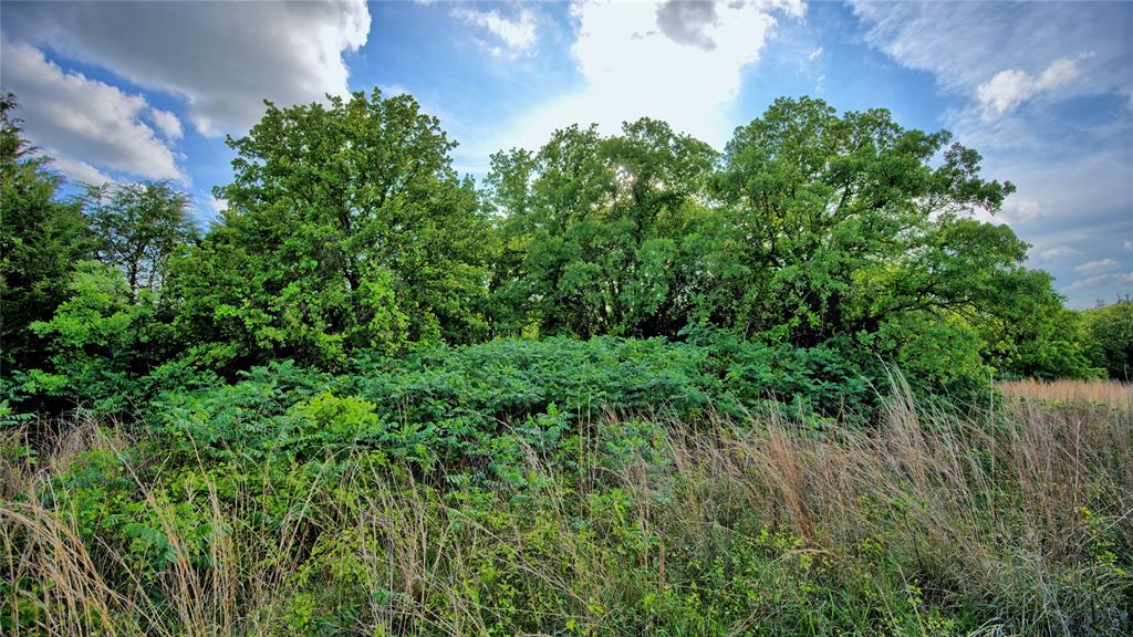 3952 Lake Valley Rd Property Photo 11