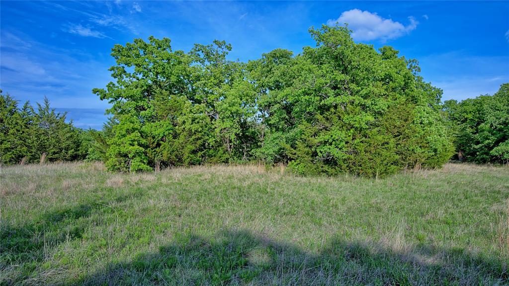 3952 Lake Valley Rd Property Photo 12