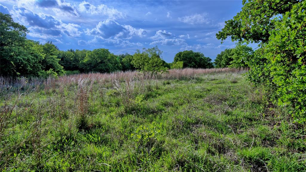 3952 Lake Valley Rd Property Photo 15