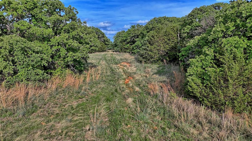 3952 Lake Valley Rd Property Photo 17