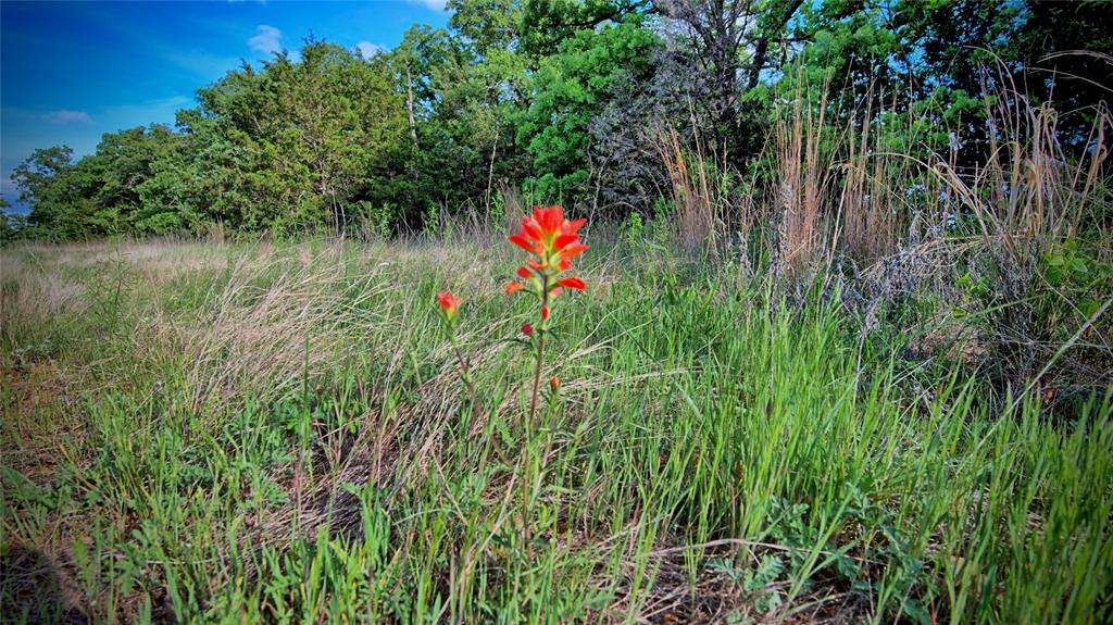 3952 Lake Valley Rd Property Photo 19