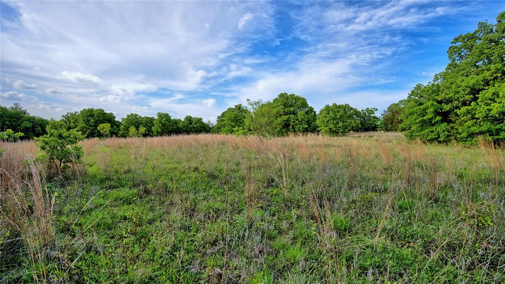 3952 Lake Valley Rd Property Photo 23