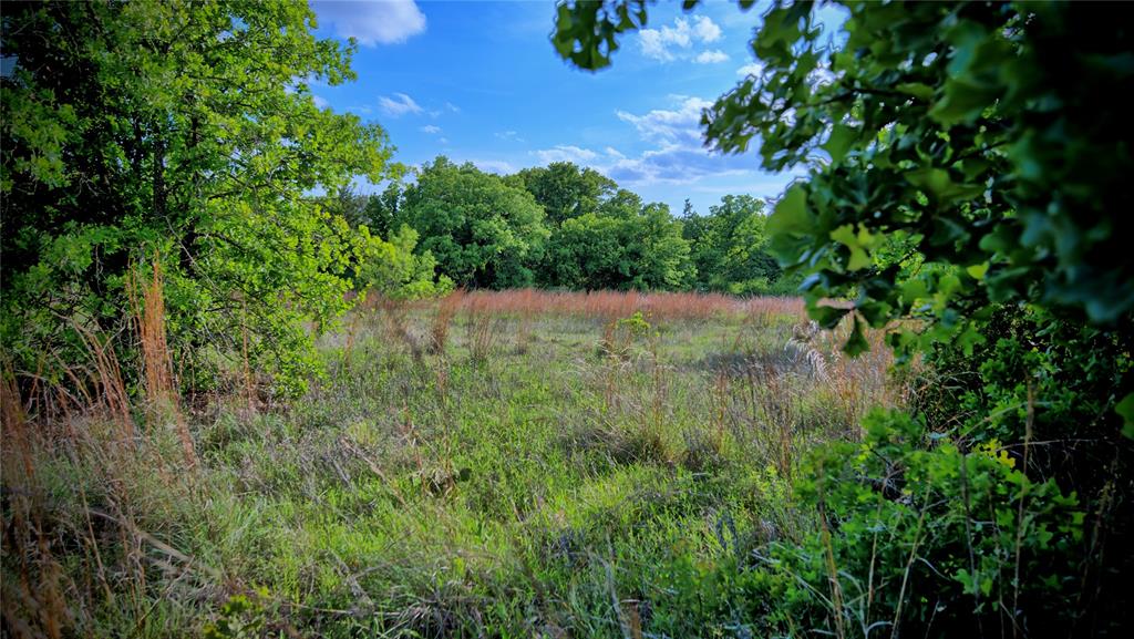 3952 Lake Valley Rd Property Photo 24