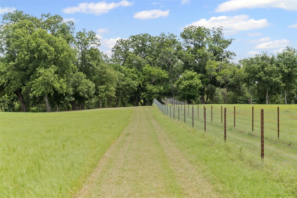 Tbd Pr 3665 Road Property Photo 9