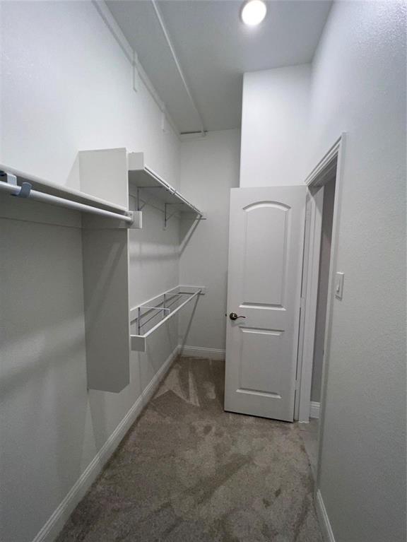 4008 Whitetail Lane Property Photo 15