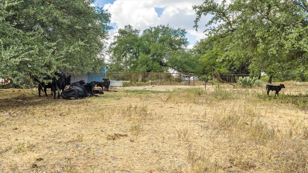 4184 S Highway 144 Property Photo 11