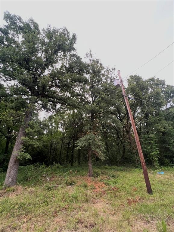 117 Inca Trail Property Photo 1