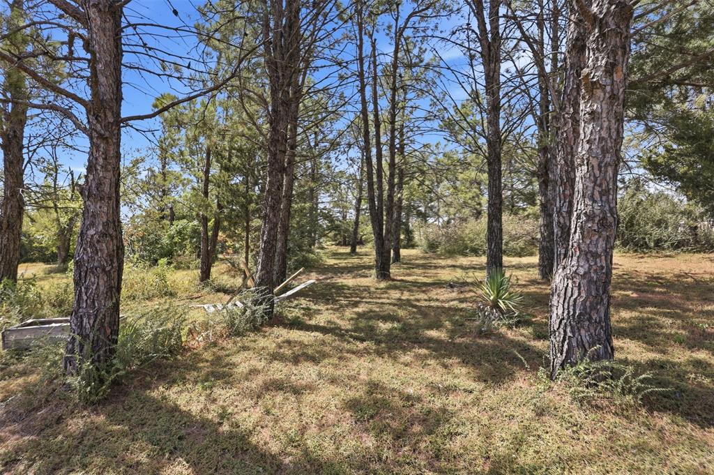 88 Green Meadow Drive Property Photo 17