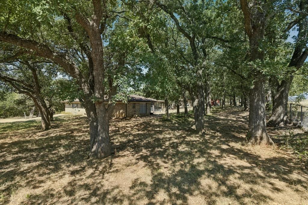 6009 County Road 707 Property Photo 5