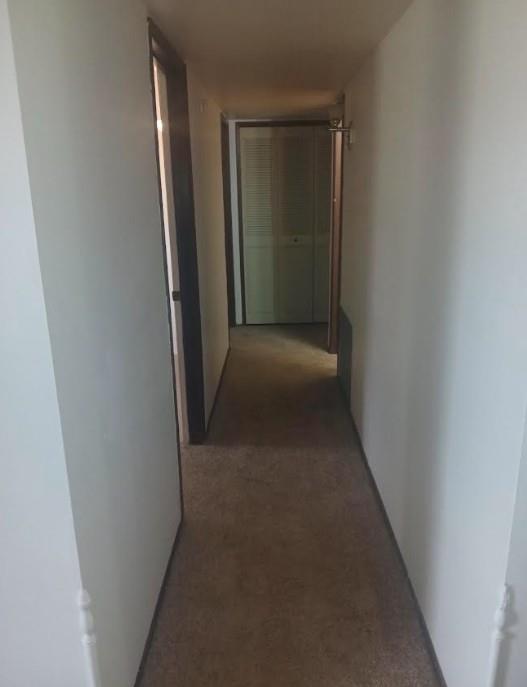 1110 Cielo Vista Drive Property Photo 4