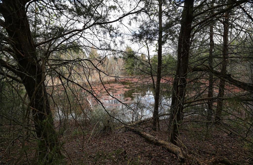 291 Vz County Road 3847 Property Photo 2