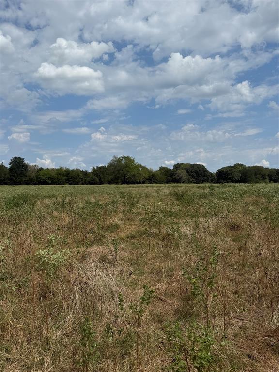 291 Vz County Road 3847 Property Photo 4
