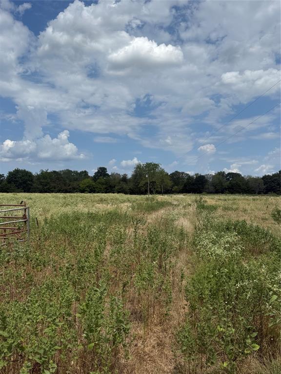 291 Vz County Road 3847 Property Photo 5