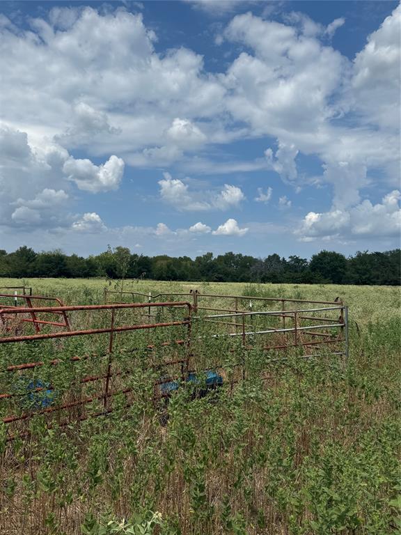 291 Vz County Road 3847 Property Photo 6