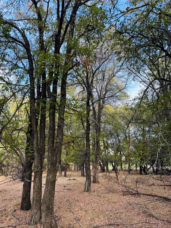 7103 Cedar Valley Drive Property Photo 1