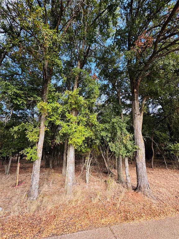 7103 Cedar Valley Drive Property Photo 2