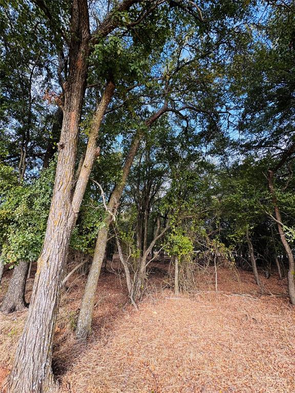7103 Cedar Valley Drive Property Photo 3