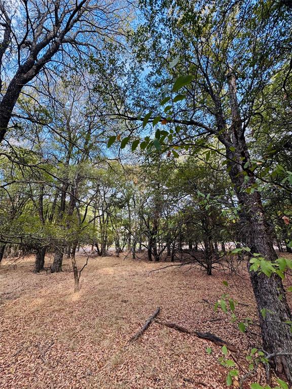 7103 Cedar Valley Drive Property Photo 4