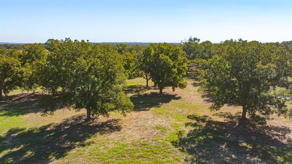 1605 Old Tin Top Road Property Photo 5