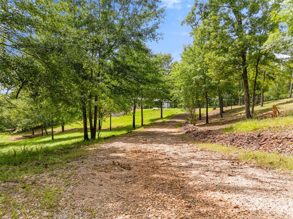17379 County Road 318 Property Photo 1