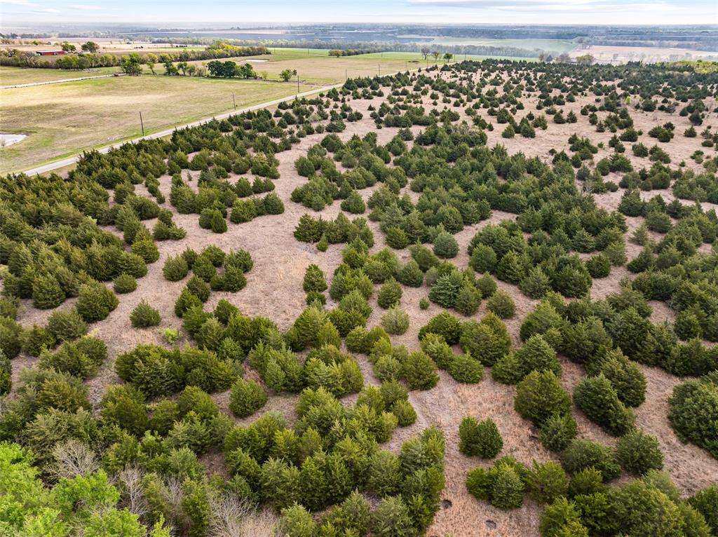 Tbd Lot 6 Fm 128 Property Photo 4