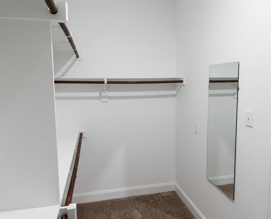 11109 Gold Pan Trail Property Photo 11