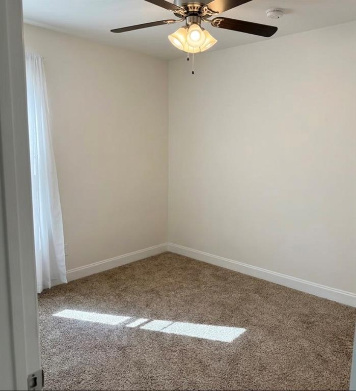 11109 Gold Pan Trail Property Photo 15