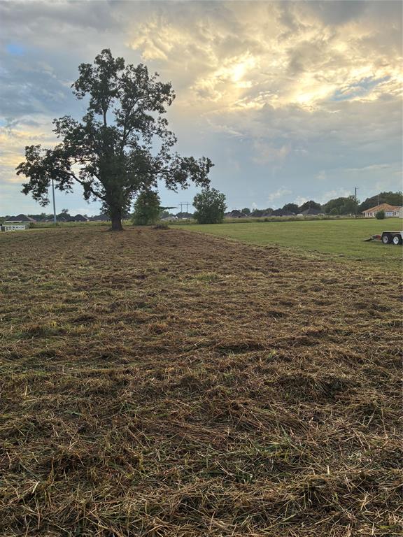 Tbd Hwy 494 Property Photo 4
