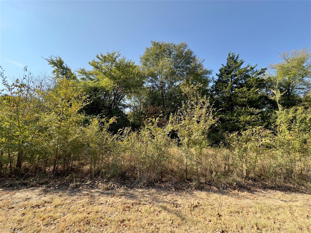 Lot 19 Tanglewood Drive Property Photo 1