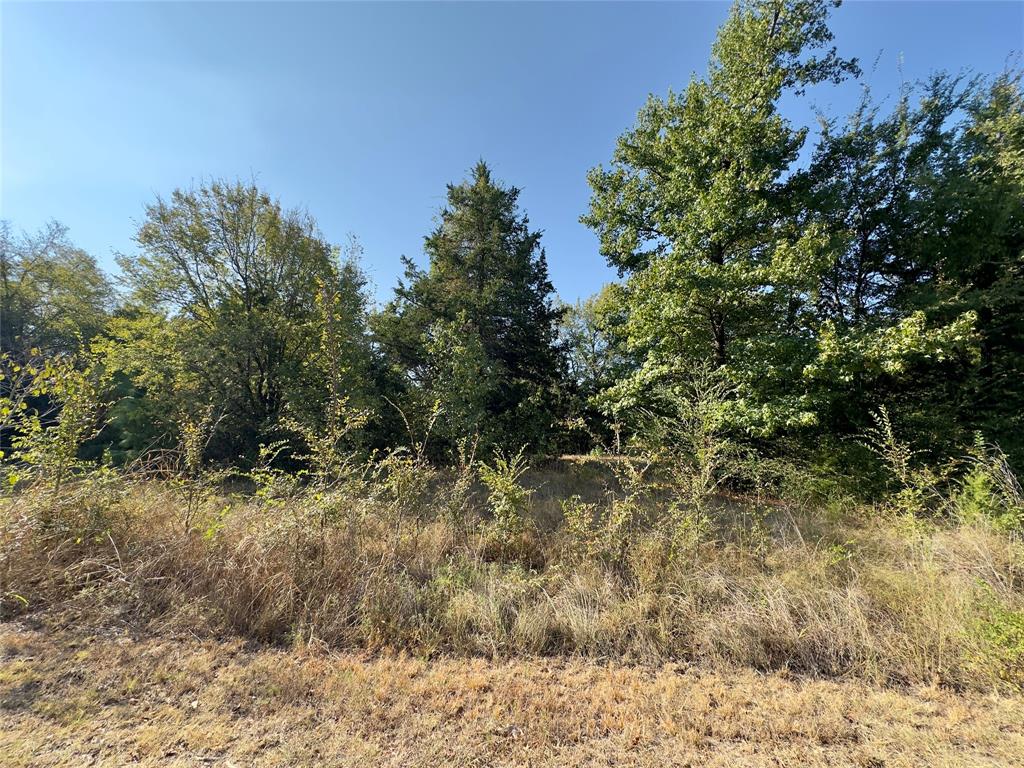Lot 19 Tanglewood Drive Property Photo 2