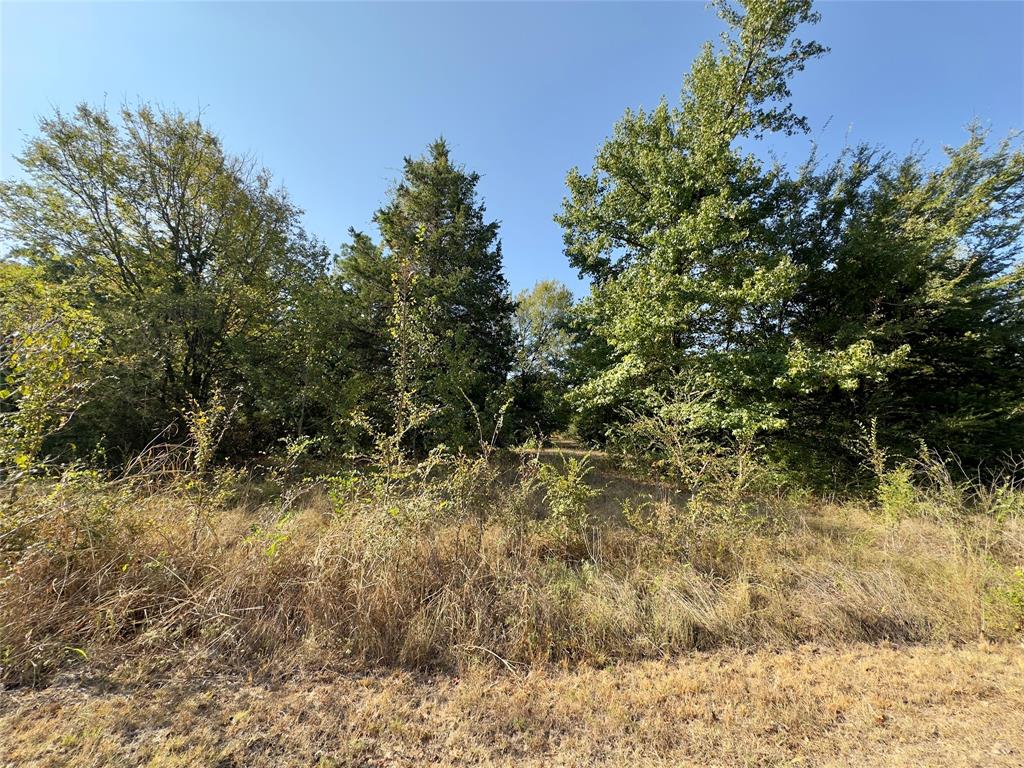 Lot 19 Tanglewood Drive Property Photo 3