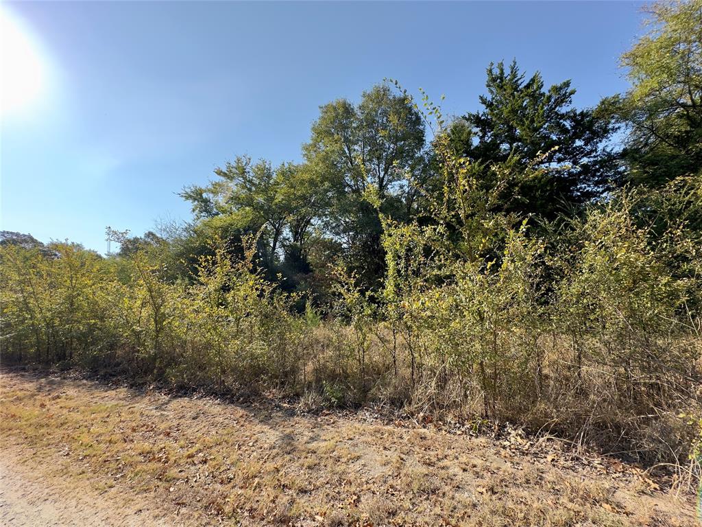 Lot 19 Tanglewood Drive Property Photo 4